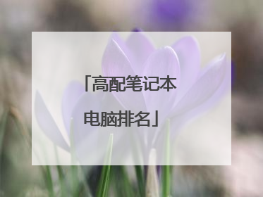 高配笔记本电脑排名