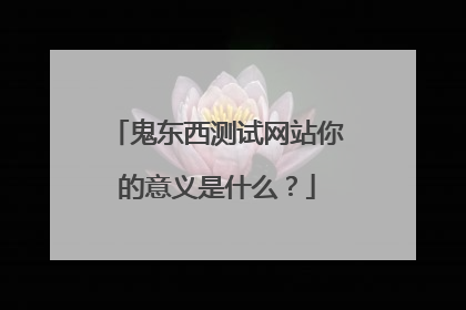 鬼东西测试网站你的意义是什么？