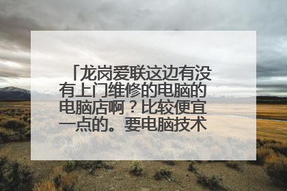 龙岗爱联这边有没有上门维修的电脑的电脑店啊?比较便宜一点的。要电脑技术比较好的。谢谢!