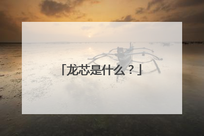 龙芯是什么？
