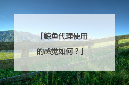 鲸鱼代理使用的感觉如何?
