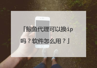 鲸鱼代理可以换ip吗？软件怎么用？