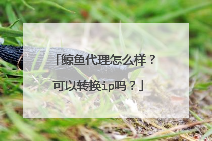 鲸鱼代理怎么样?可以转换ip吗?