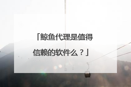鲸鱼代理是值得信赖的软件么?