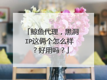 鲸鱼代理,黑洞IP这俩个怎么样?好用吗?