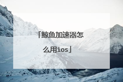 鲸鱼加速器怎么用ios