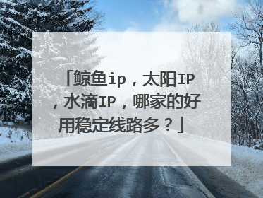 鲸鱼ip,太阳IP,水滴IP,哪家的好用稳定线路多?