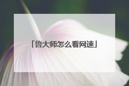 鲁大师怎么看网速