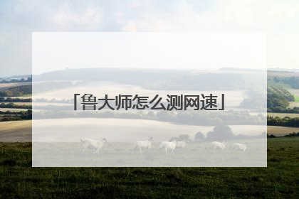 鲁大师怎么测网速