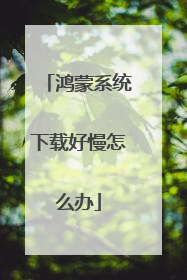 鸿蒙系统下载好慢怎么办