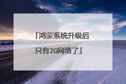 鸿蒙系统升级后只有2G网络了