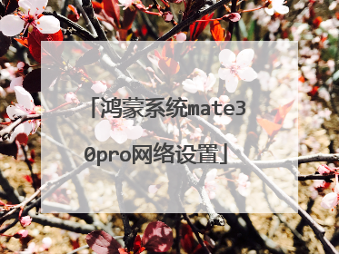 鸿蒙系统mate30pro网络设置