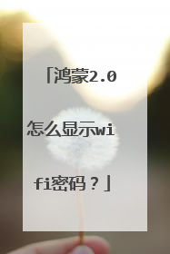 鸿蒙2.0怎么显示wifi密码?