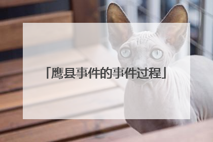 鹰县事件的事件过程