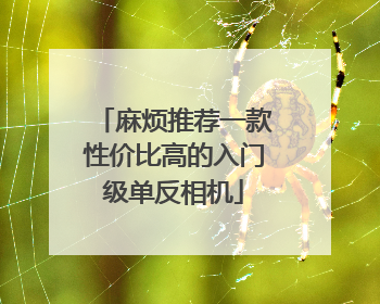 麻烦推荐一款性价比高的入门级单反相机