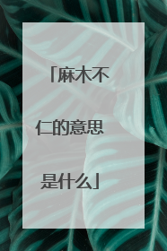 麻木不仁的意思是什么