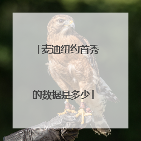 麦迪纽约首秀的数据是多少