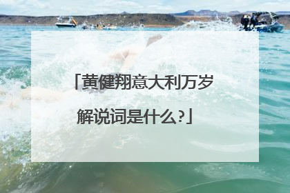 黄健翔意大利万岁解说词是什么?