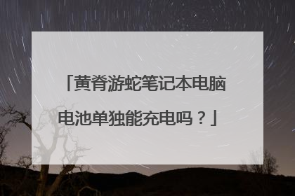 黄脊游蛇笔记本电脑电池单独能充电吗？