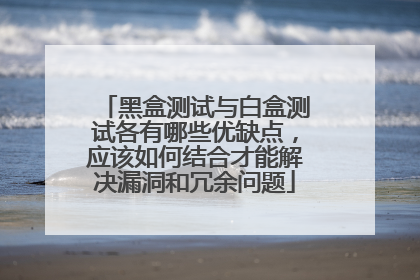 黑盒测试与白盒测试各有哪些优缺点，应该如何结合才能解决漏洞和冗余问题