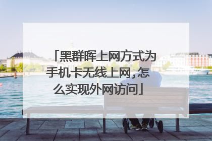 黑群晖上网方式为手机卡无线上网,怎么实现外网访问