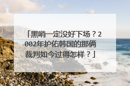 黑哨一定没好下场？2002年护佑韩国的那俩裁判如今过得怎样？