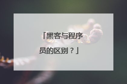 黑客与程序员的区别?