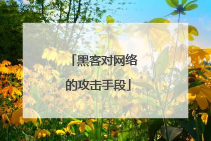 黑客对网络的攻击手段