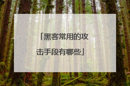 黑客常用的攻击手段有哪些