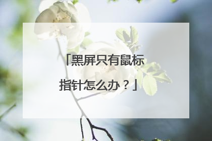 黑屏只有鼠标指针怎么办？