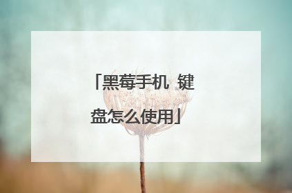 黑莓手机 键盘怎么使用