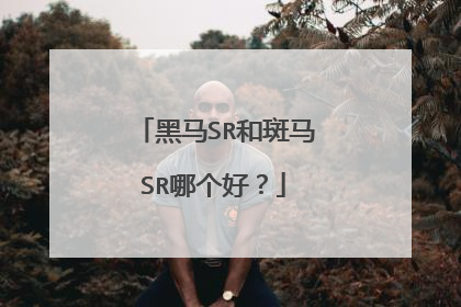 黑马SR和斑马SR哪个好?