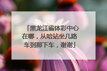 黑龙江省体彩中心在哪，从哈站坐几路车到那下车，谢谢