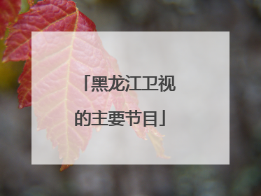 黑龙江卫视的主要节目