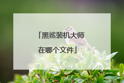 黑鲨装机大师在哪个文件