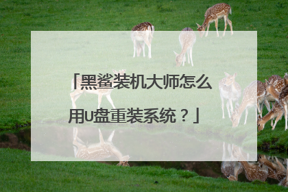 黑鲨装机大师怎么用U盘重装系统？
