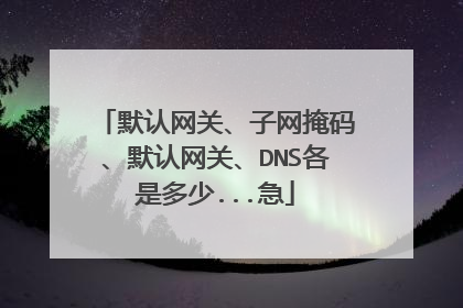 默认网关、子网掩码、默认网关、DNS各是多少...急