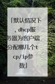 默认情况下，dhcp服务器为客户端分配哪几个tcp/ip参数