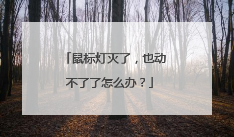 鼠标灯灭了,也动不了了怎么办?