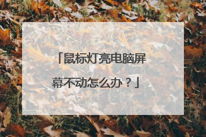 鼠标灯亮电脑屏幕不动怎么办？