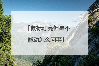 鼠标灯亮但是不能动怎么回事
