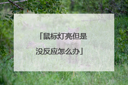 鼠标灯亮但是没反应怎么办