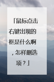 鼠标点击右键出现的框是什么啊,怎样删选项?