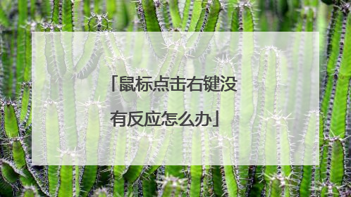 鼠标点击右键没有反应怎么办