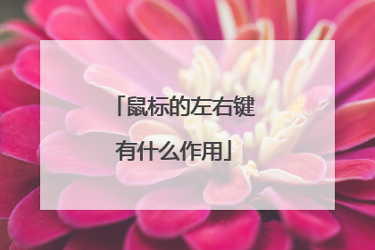 鼠标的左右键有什么作用