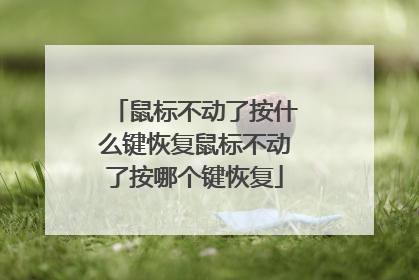 鼠标不动了按什么键恢复鼠标不动了按哪个键恢复