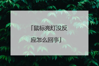 鼠标亮灯没反应怎么回事