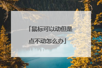 鼠标可以动但是点不动怎么办