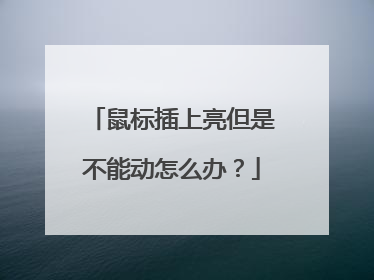 鼠标插上亮但是不能动怎么办?