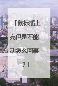 鼠标插上亮但是不能动怎么回事?